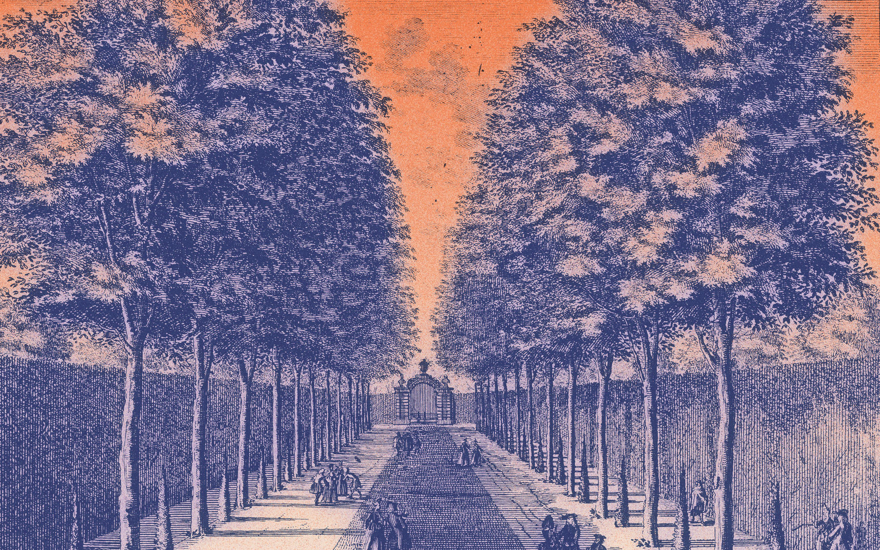 Central lane, Slot Zeist. Study