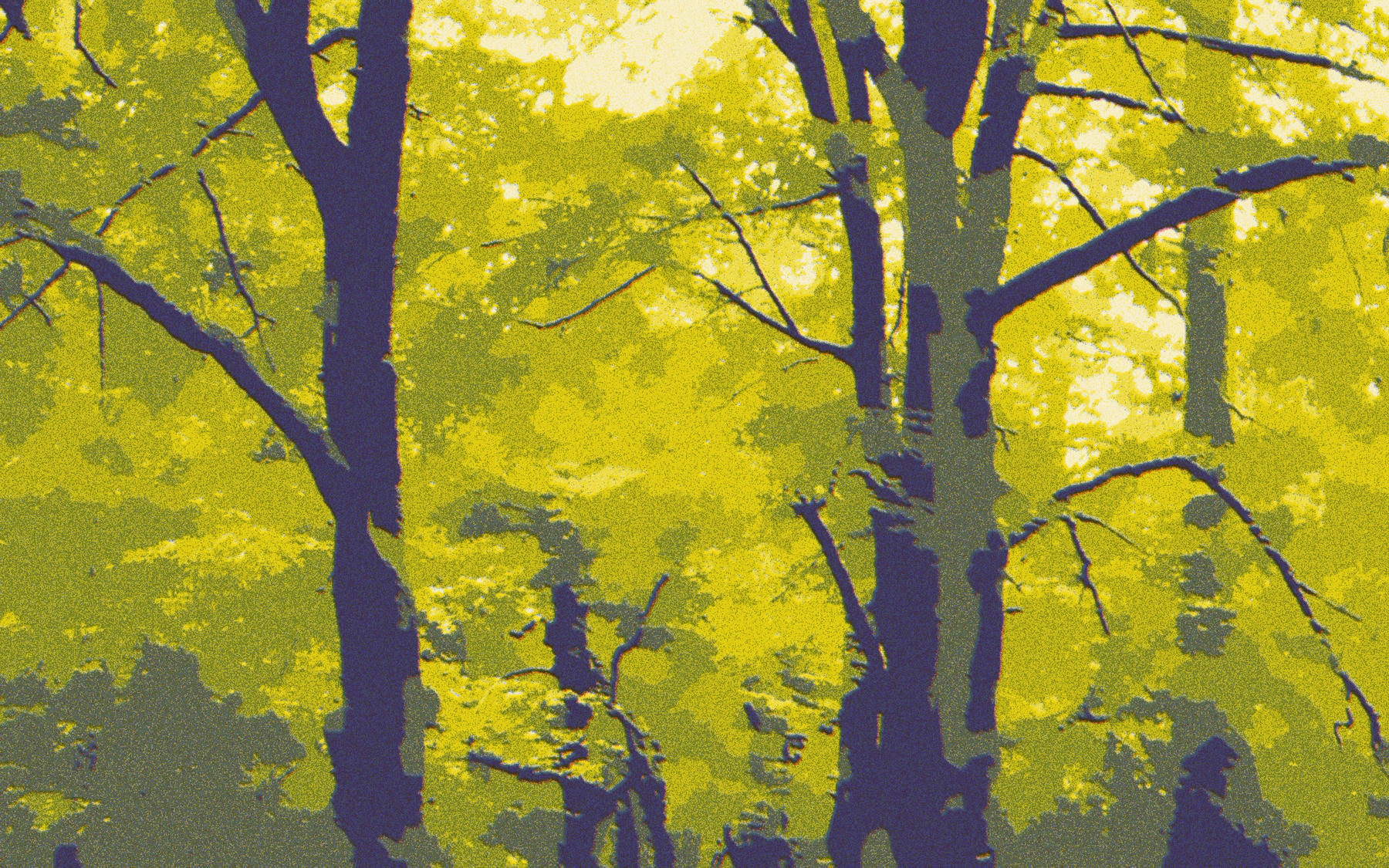 Groene Laantje, Zeist. Study after a photo by HenkvD